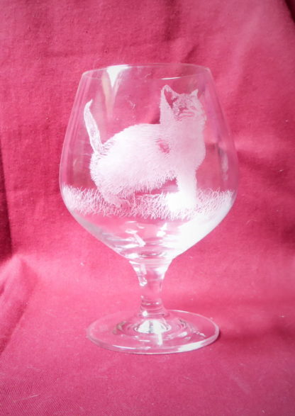 verre à cognac chaton 2